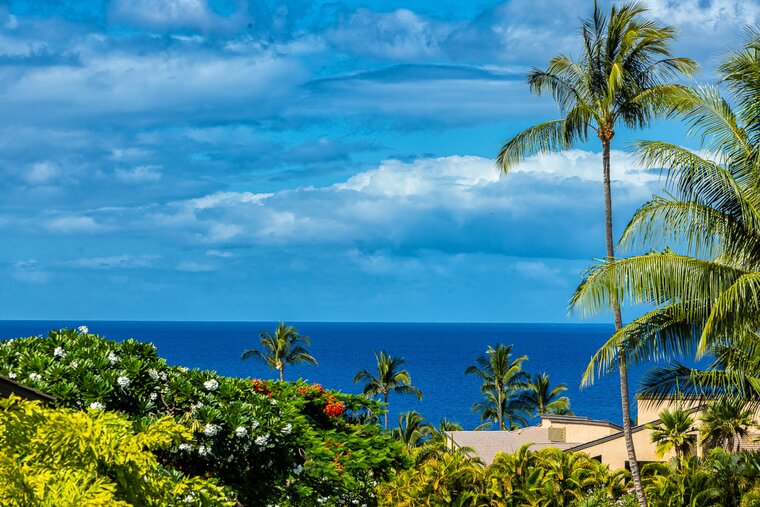 Ekahi 45F 20% Off Spring Special!