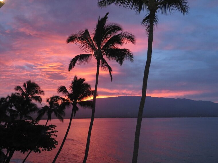 Kanai A Nalu 419 Ocean Front