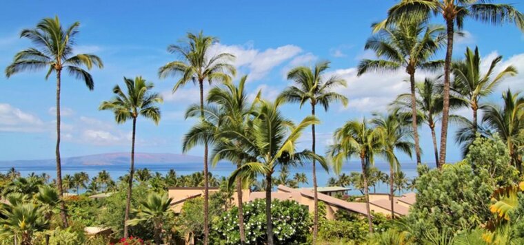 Ekahi 13F Christmas week 2025 available!! Spectacular ocean views, short stroll to pools and beach!