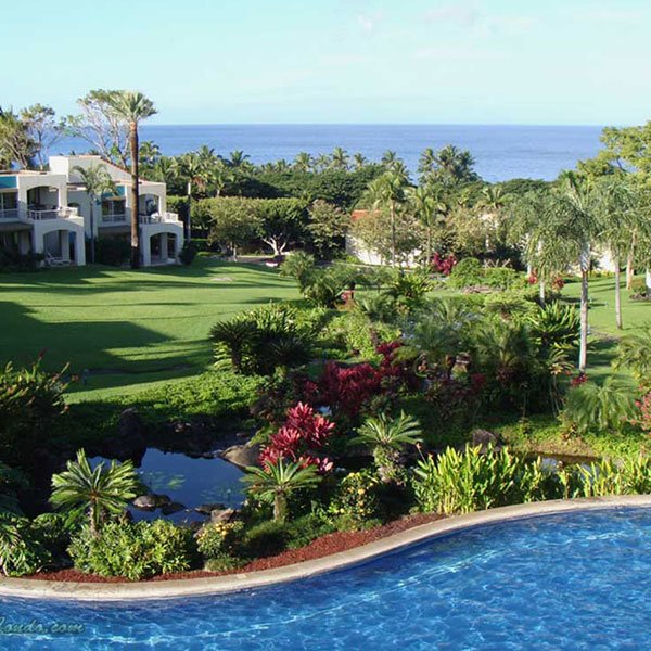 The Palms at Wailea